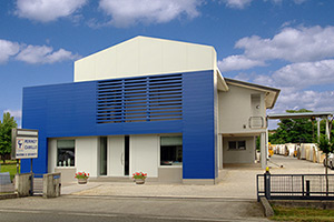 sede